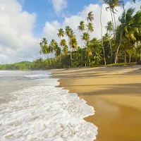 Beach Wallpapers