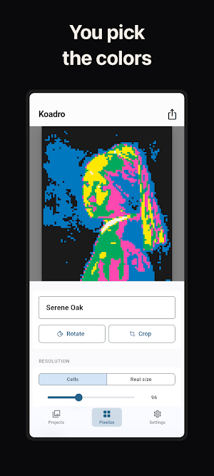 Koadro - Photo Pixel Art Screenshot 1