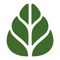 Yogalok