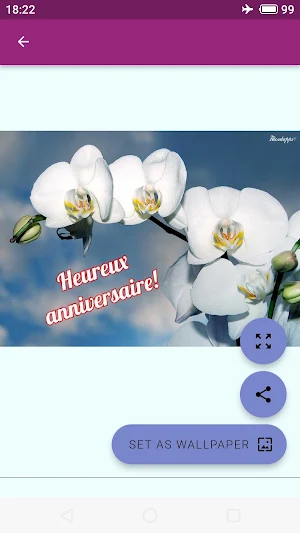 Joyeux anniversaire Screenshot 2