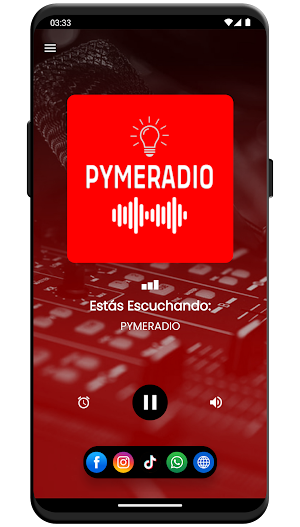 PYMERADIO Screenshot 2