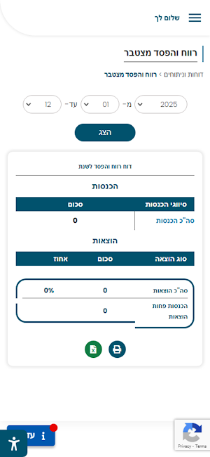 אורית דוד רואת חשבון Screenshot 2