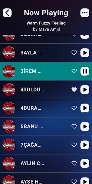 Turkish songs | 2025 offline Screenshot 2