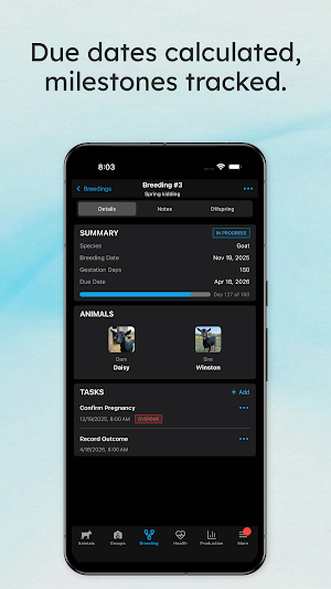 Livestockstar Screenshot 2