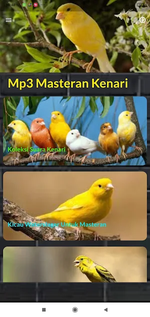 Kicau Kenari Ngerol Panjang Screenshot 1