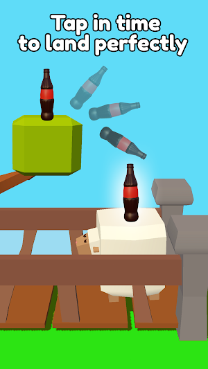 Flip The Bottle – 3D Game Screenshot 2