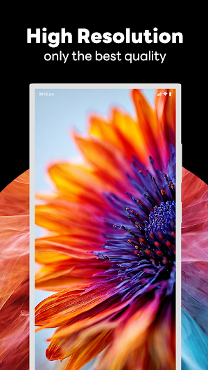 Lemburst HD Wallpapers Screenshot 3