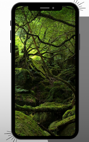 Jungle Wallpaper Screenshot 3