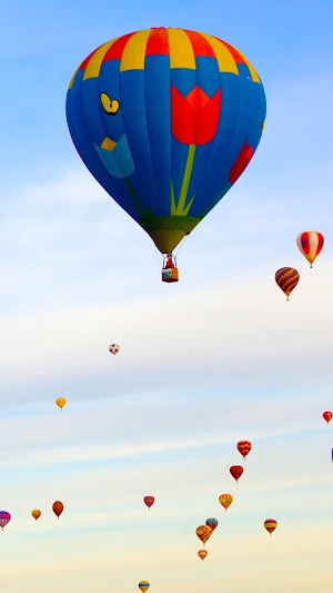 Air Balloon Wallpapers screenshot 2