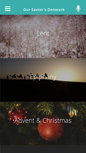 Our Savior's Denmark Screenshot 2