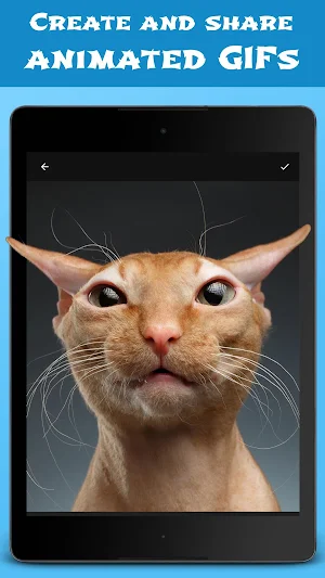 Jellify - Funny Photo Effects Screenshot 3
