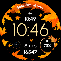 ReS51 - Autumn & Winter Watch
