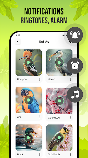 Birds Sounds Screenshot 3