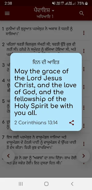 Holy Bible In Punjabi Screenshot 0