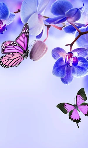 Flowers Wallpapers Screenshot 3