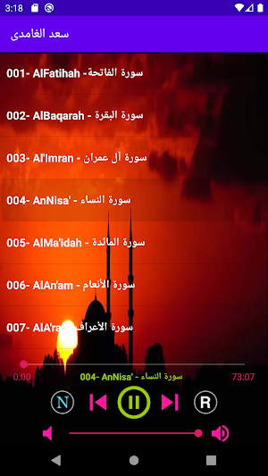 سعد الغامدى قرأن كريم بجودة ممتازة بدون إنترنت Screenshot 1