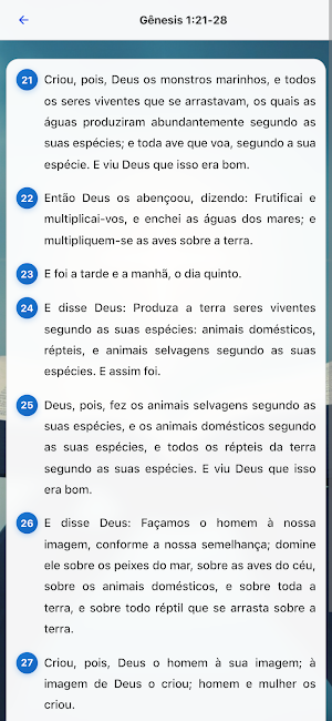 Caça palavras Bíblicos Screenshot 2