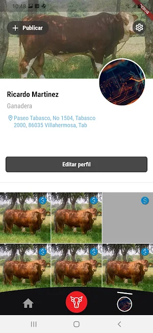Animal Trader Screenshot 2