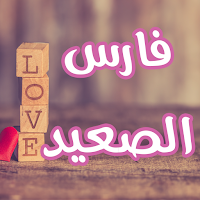 رواية فارس الصعيد