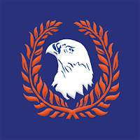 Falcon Radio
