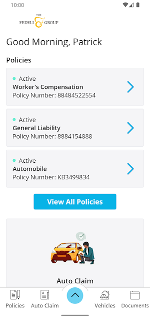 The Fedeli Group Online Screenshot 1
