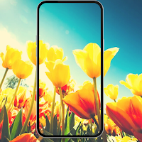 Pretty Flowers Images
