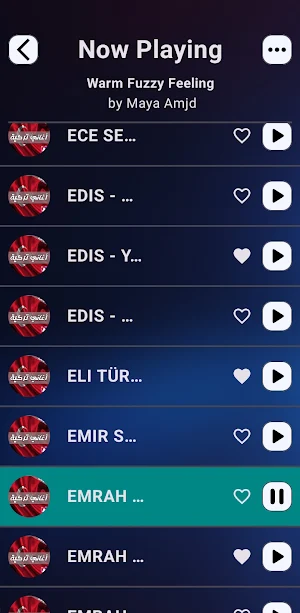 Turkish songs | 2025 offline Screenshot 3