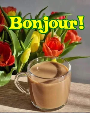 Bonjour Images Screenshot 0