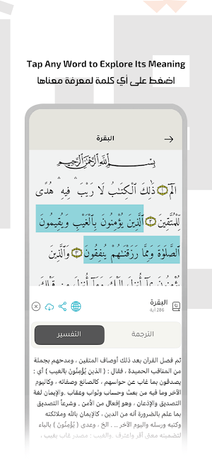 Quran Kareem: Audio & Tafsir Screenshot 0