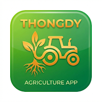 Thongdy