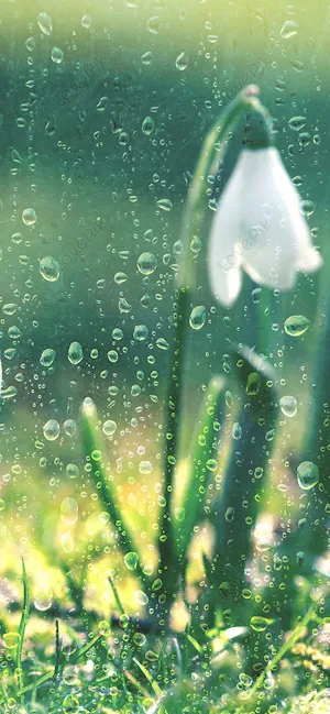 Rain Sounds Screenshot 2