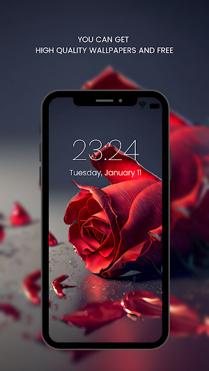 Red Rose Wallpapers Flowers Screenshot 2