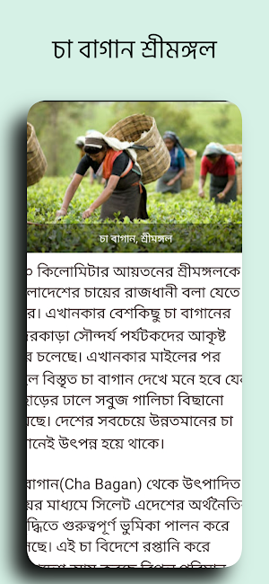 বাংলাদেশ ভ্রমণ Screenshot 3