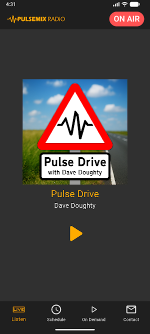 PulseMix Radio Screenshot 1