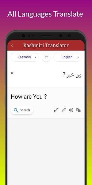 Kashmiri Translator Screenshot 2