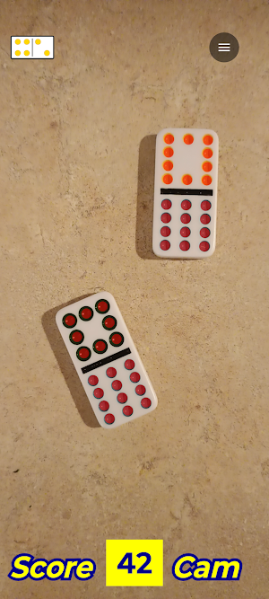 Domino Camera Screenshot 1
