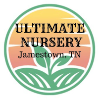 Ultimate Nursery