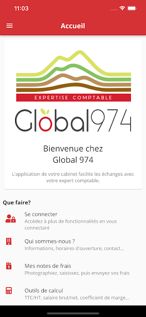 GLOBAL 974 Screenshot 0