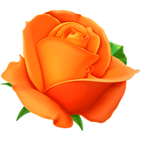 Flowers Stickers for WhatsApp WAStickerApps