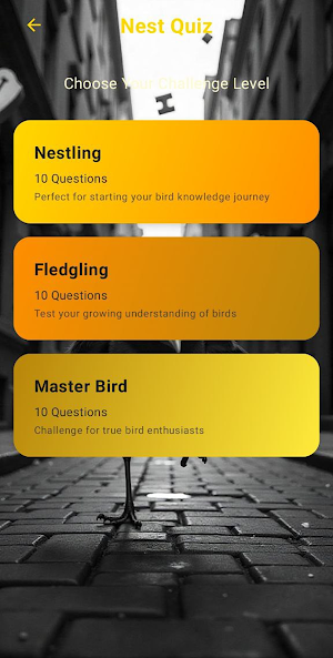 Chicken Road Screenshot 3