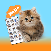 Cat Translator Prank Game