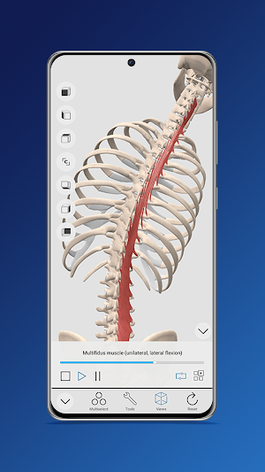 Everyday Anatomy Screenshot 0