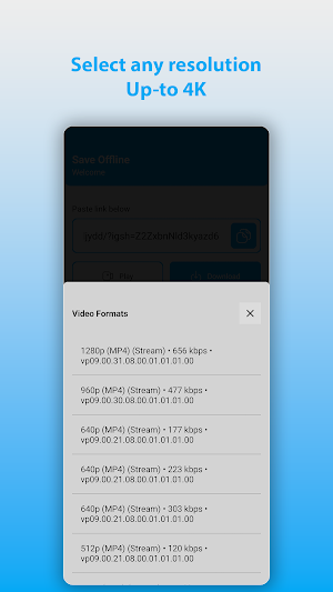 4K Video Downloader & Player Screenshot 2