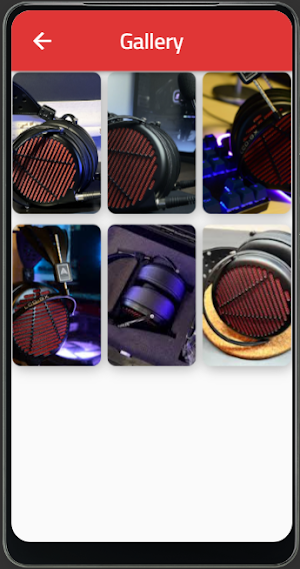 Audeze LCD-GX guide Screenshot 1