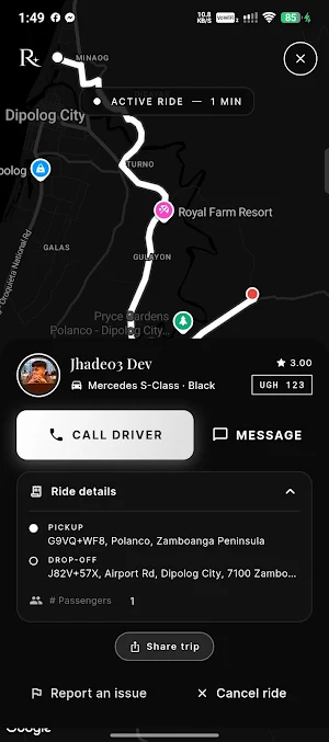 R Ally's Passenger screenshot 8