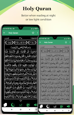 HOLY QURAN - القرآن الكريم Screenshot 3