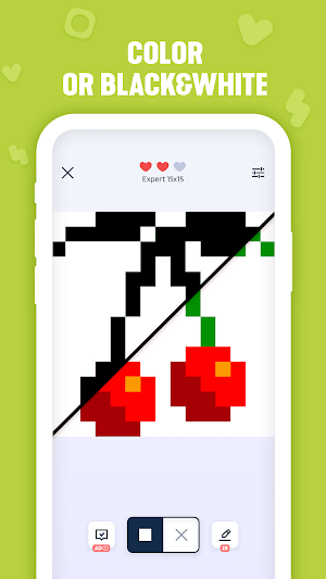 Nonogram - griddler puzzles Screenshot 2