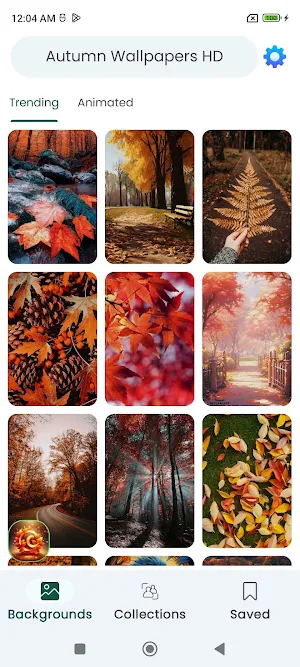 Autumn Wallpapers HD Screenshot 0