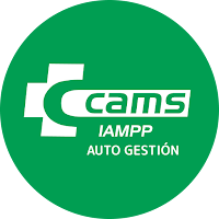 Cams IAMPP Auto Gestión