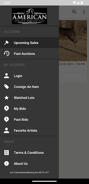 ASE Auctions Screenshot 3